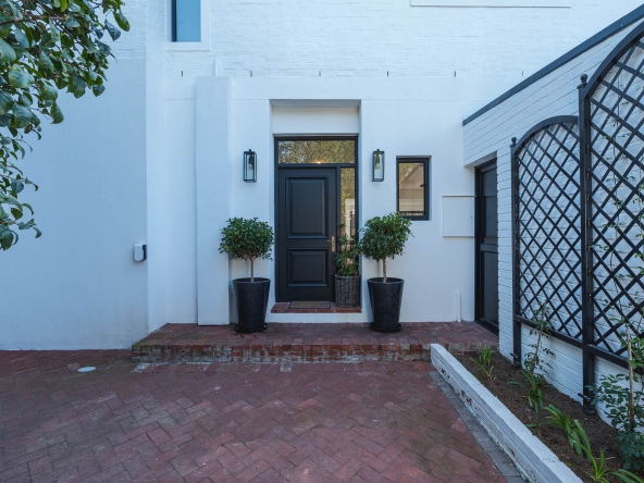 Ficus AS 2024-64