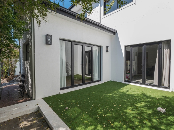 Ficus AS 2024-65