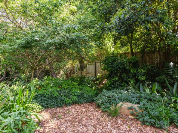 041 Forest Hideaway AS 2024