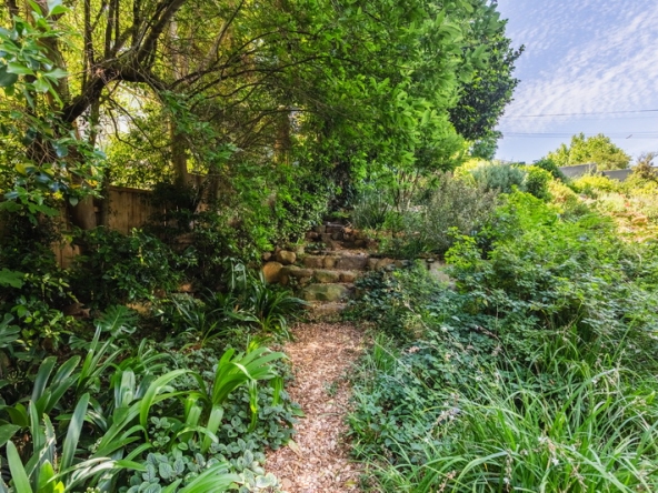 042 Forest Hideaway AS 2024