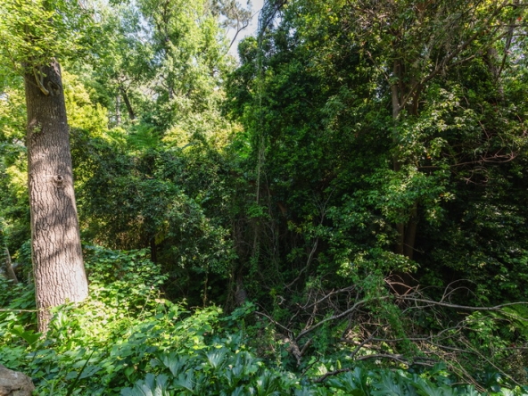 048 Forest Hideaway AS 2024
