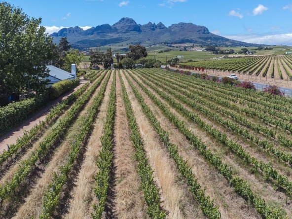 Akkerdraai AS 2024-008