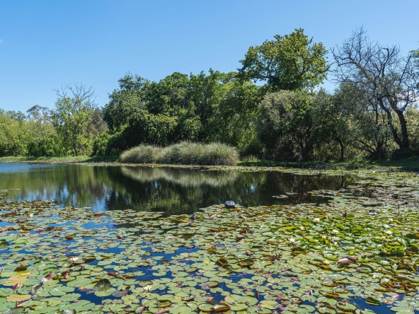 Akkerdraai AS 2024-054