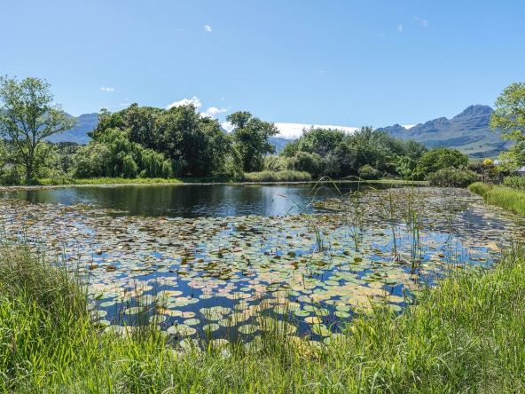 Akkerdraai AS 2024-061