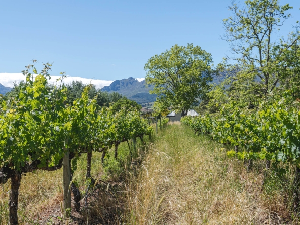 Akkerdraai AS 2024-071