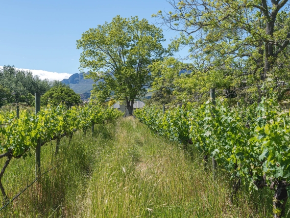 Akkerdraai AS 2024-073