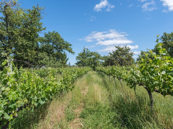 Akkerdraai AS 2024-074