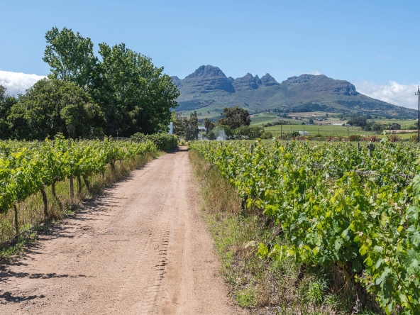 Akkerdraai AS 2024-076