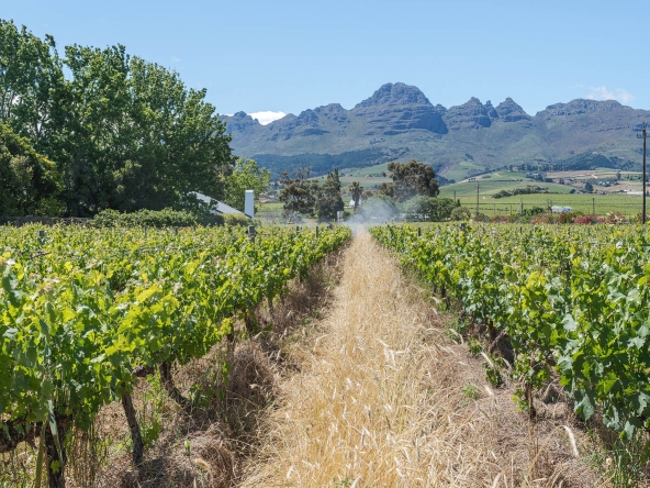 Akkerdraai AS 2024-077