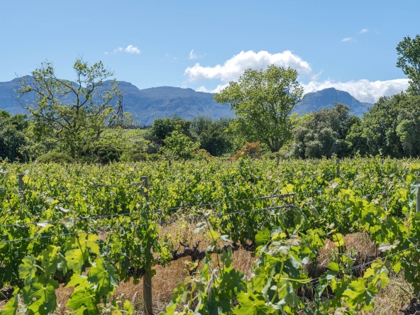 Akkerdraai AS 2024-078