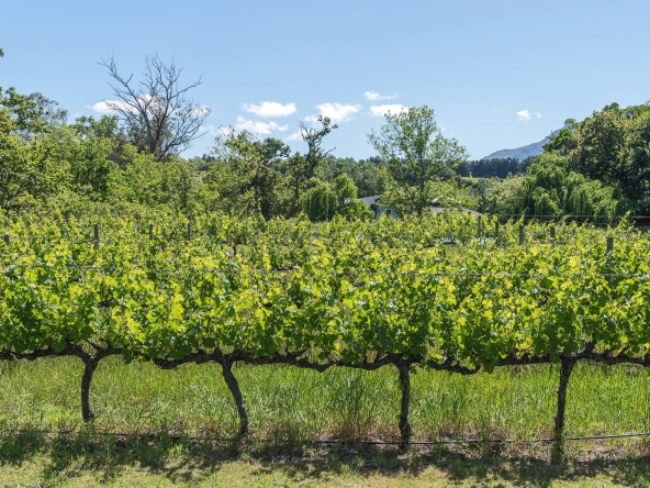 Akkerdraai AS 2024-080