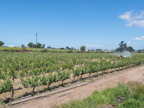 Akkerdraai AS 2024-081