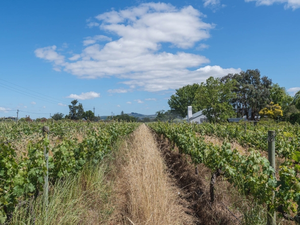 Akkerdraai AS 2024-082