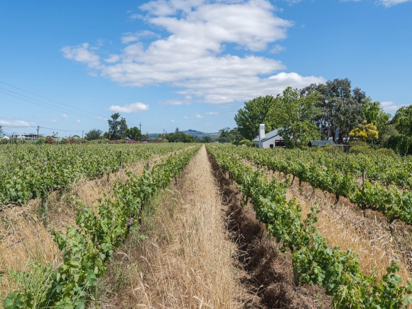 Akkerdraai AS 2024-083