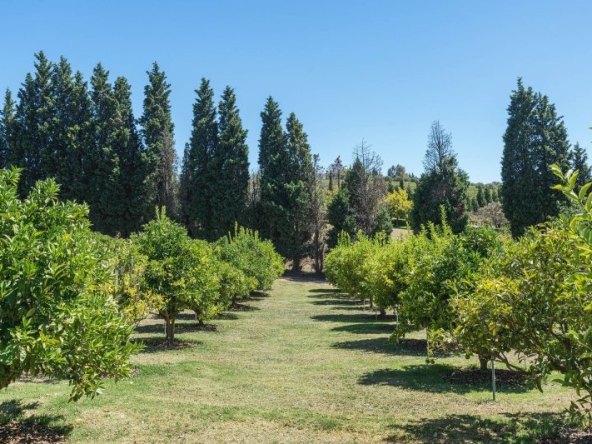 Monticello Farm AS 2025- 045