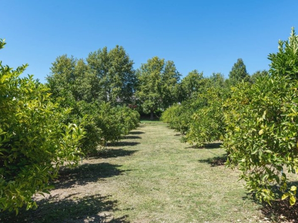 Monticello Farm AS 2025- 046