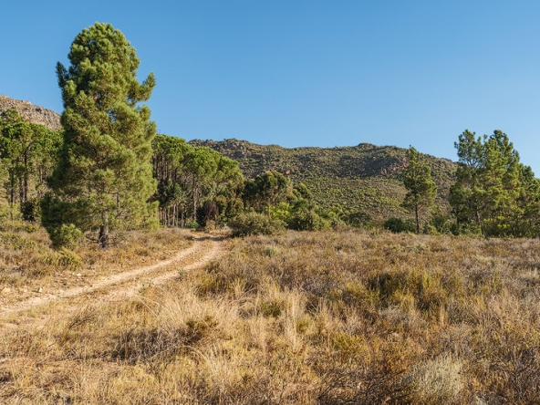 Helderstroom AS 2025- 048
