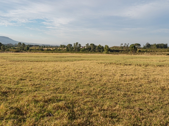 Helderstroom AS 2025- 063