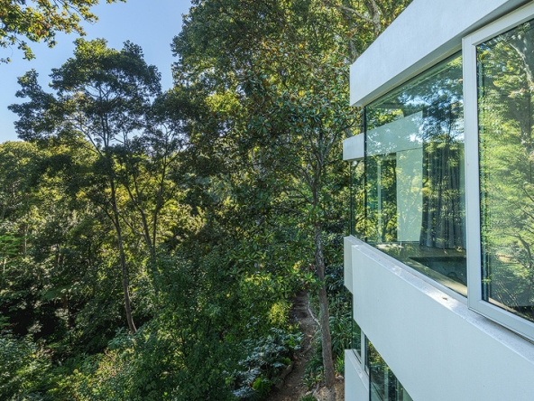 Baumhaus AS 2025- 46
