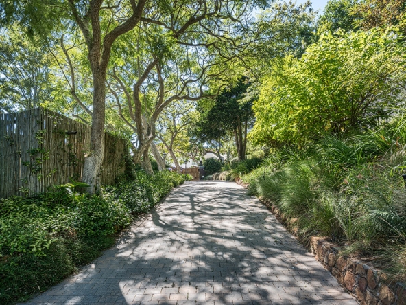 102-2026 AS Jacaranda House Driveway