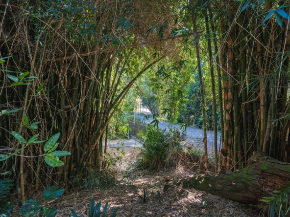 048 De Rust Hideaway AS 2025