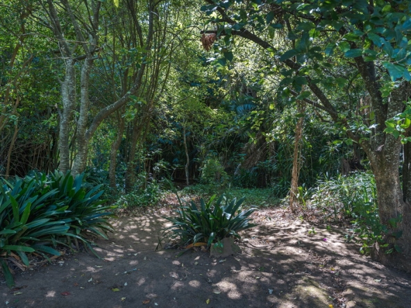 049 De Rust Hideaway AS 2025