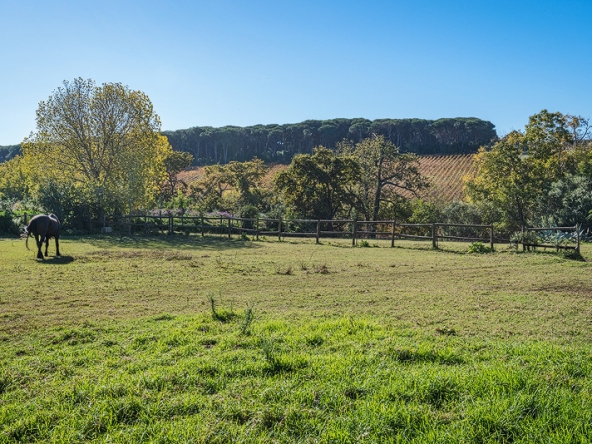 Annandale Farm AS 2025-054
