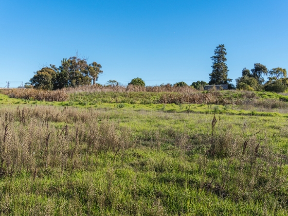 Annandale Farm AS 2025-058