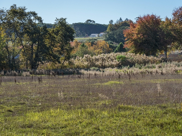 Annandale Farm AS 2025-061