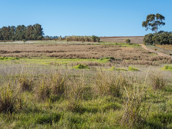 Annandale Farm AS 2025-062