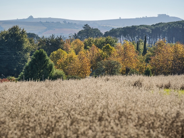 Annandale Farm AS 2025-065