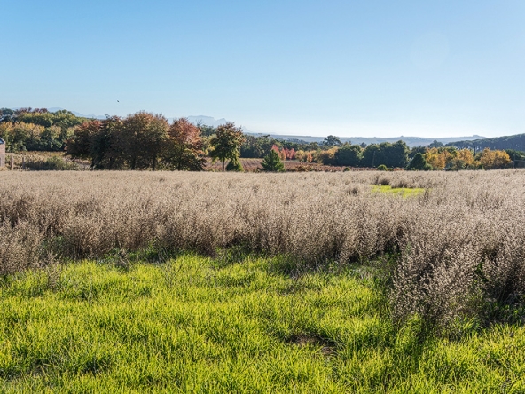 Annandale Farm AS 2025-067