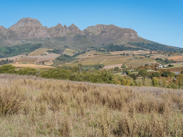 Annandale Farm AS 2025-069