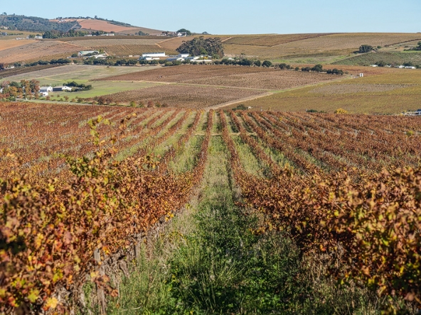 Annandale Farm AS 2025-076