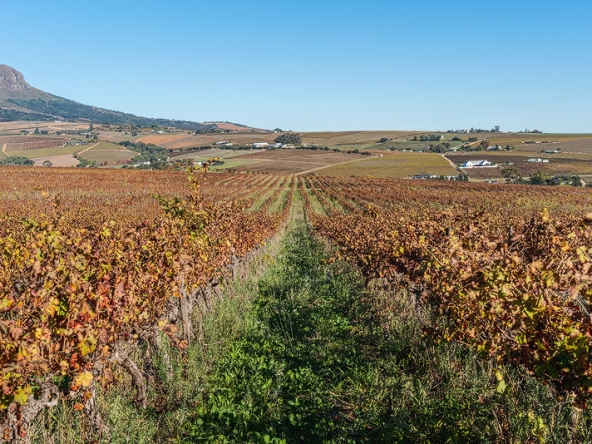 Annandale Farm AS 2025-077