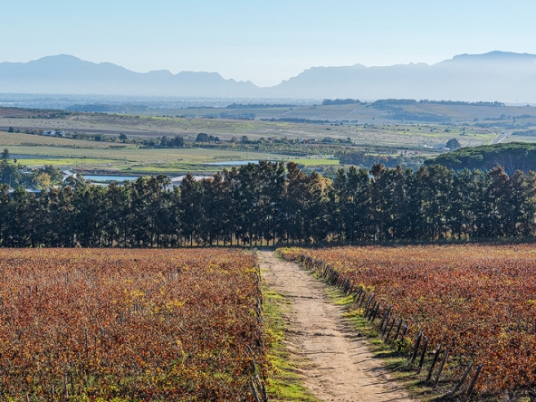 Annandale Farm AS 2025-078