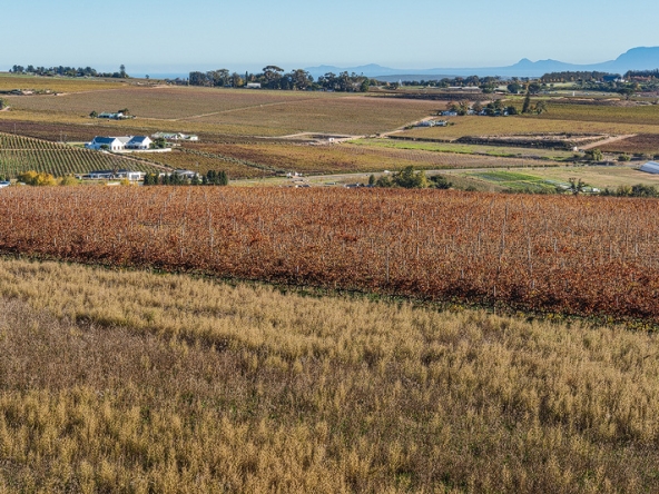 Annandale Farm AS 2025-079
