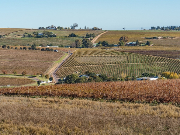 Annandale Farm AS 2025-081