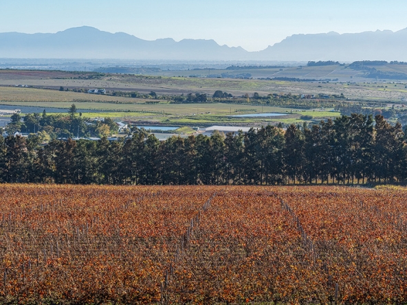 Annandale Farm AS 2025-082