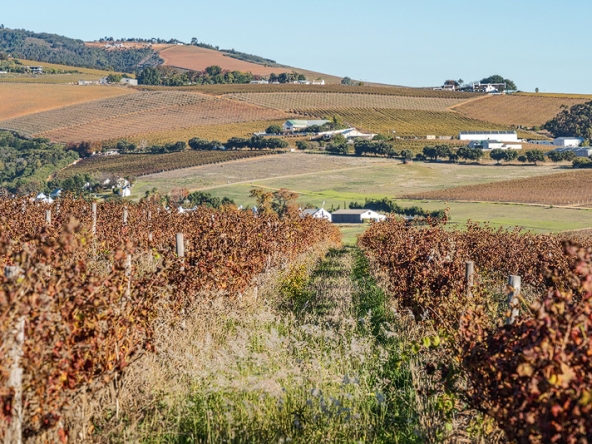 Annandale Farm AS 2025-084