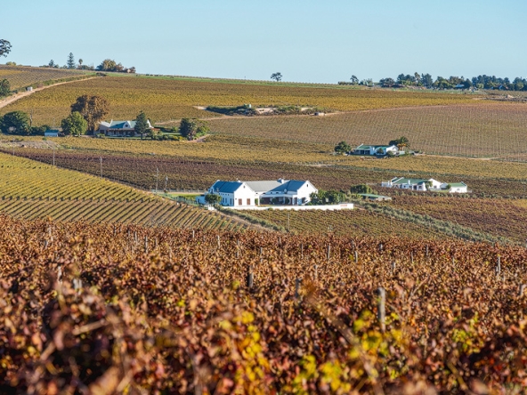 Annandale Farm AS 2025-085