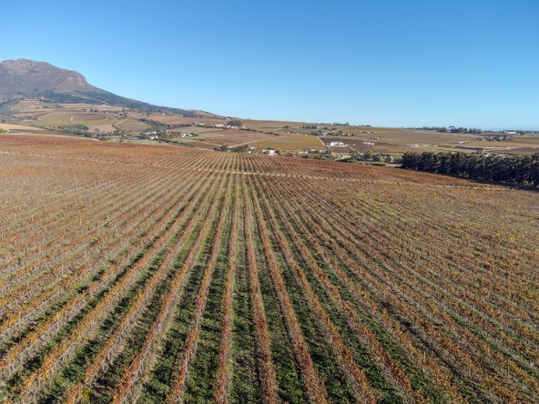 Annandale Farm AS 2025-092