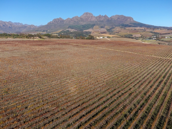 Annandale Farm AS 2025-093