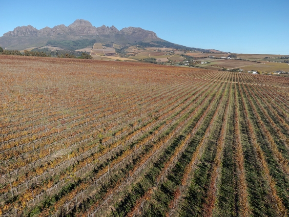 Annandale Farm AS 2025-094
