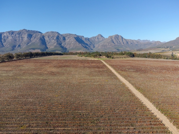 Annandale Farm AS 2025-097