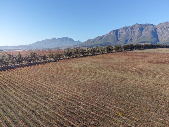 Annandale Farm AS 2025-098