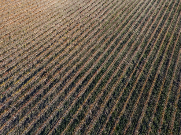 Annandale Farm AS 2025-100