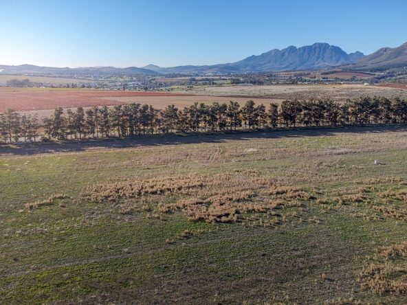 Annandale Farm AS 2025-102