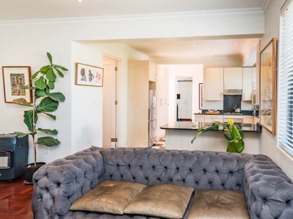 Shiny Dancer AS 2025- 006