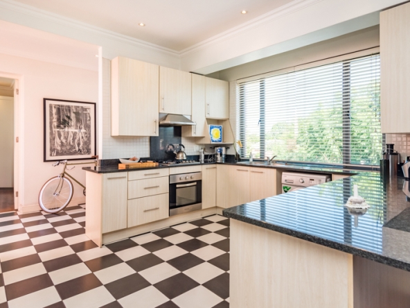 Shiny Dancer AS 2025- 008